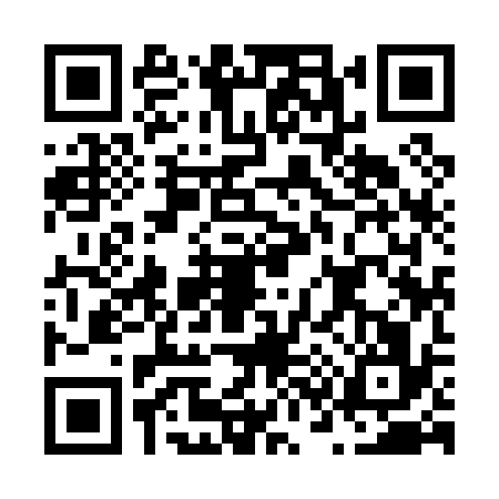 QR code for N390366