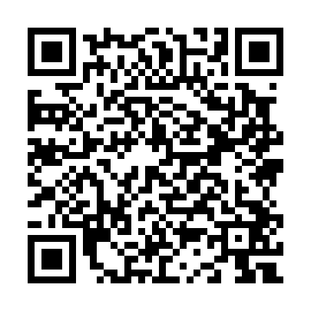 QR code for N390427