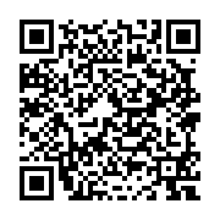 QR code for N390906