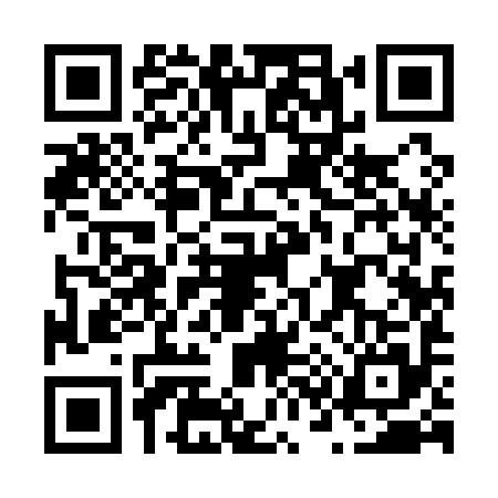 QR code for N391953