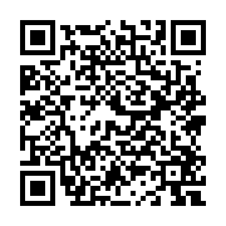 QR code for N397465
