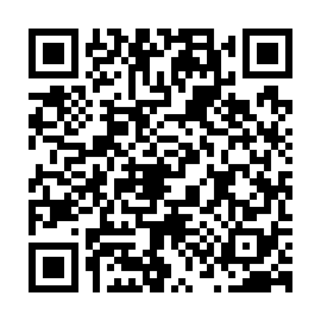 QR code for N397780
