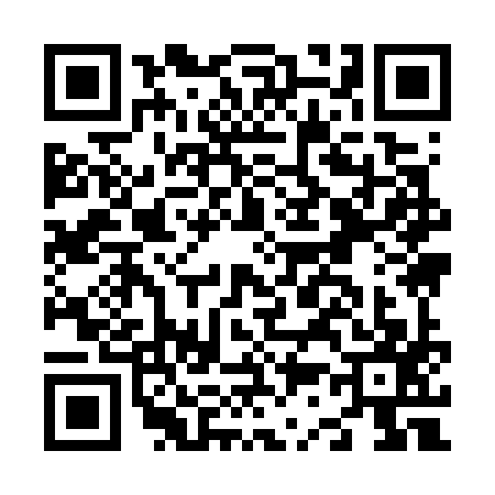 QR code for N397979