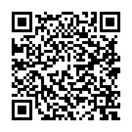 QR code for N398668