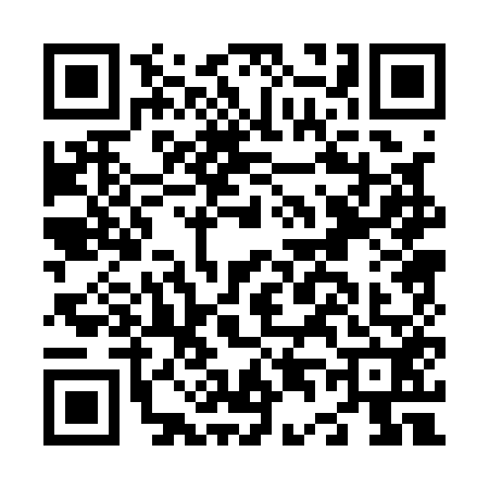 QR code for N401528