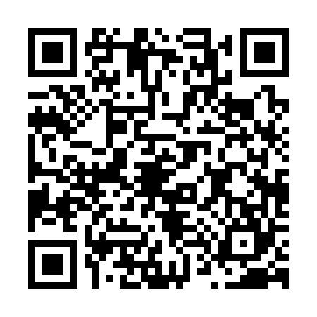 QR code for N403647