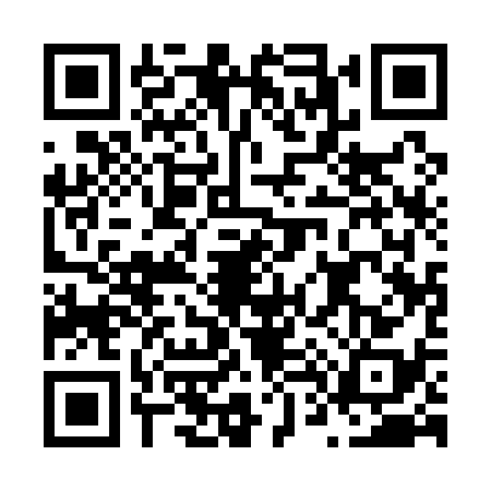QR code for N411381