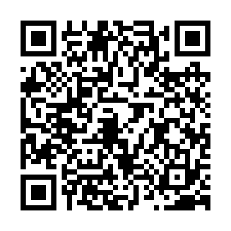 QR code for N412339
