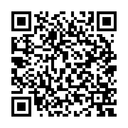 QR code for N412633