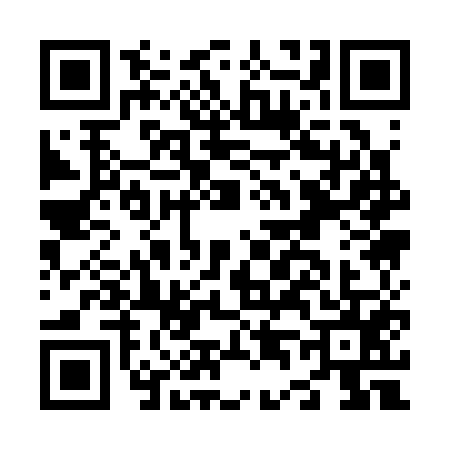QR code for N413556
