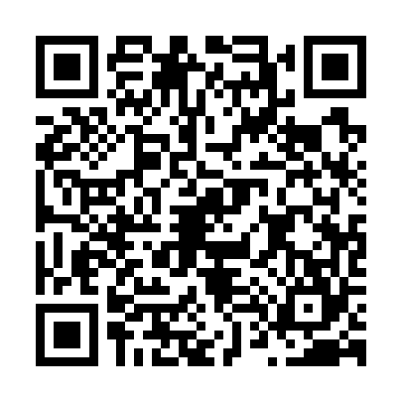 QR code for N417647