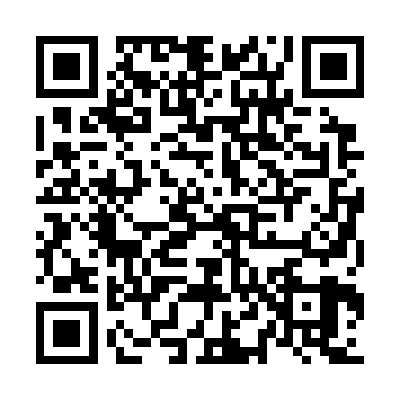 QR code for N423294