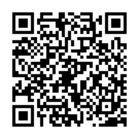QR code for N423738
