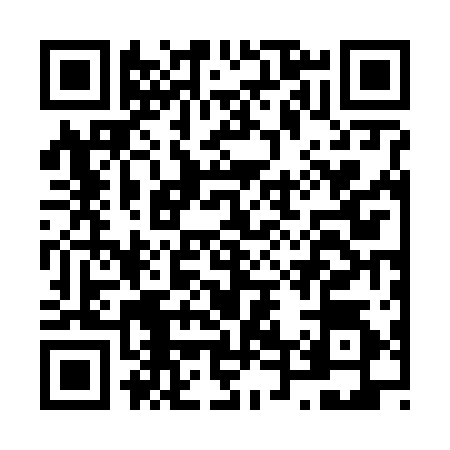 QR code for N426141