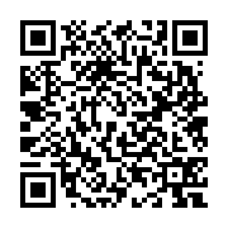 QR code for N426347