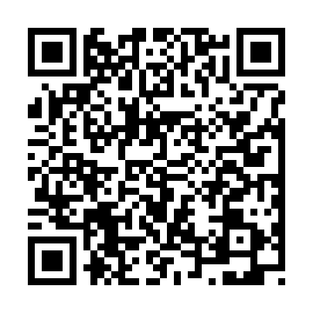 QR code for N427119