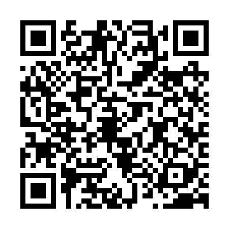 QR code for N432295