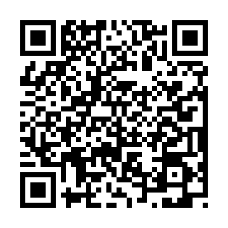 QR code for N435441