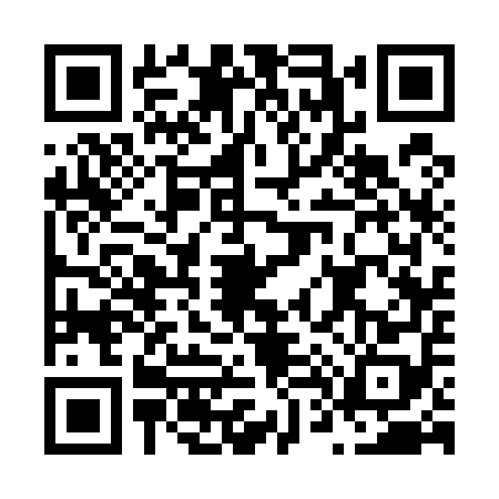 QR code for N435580