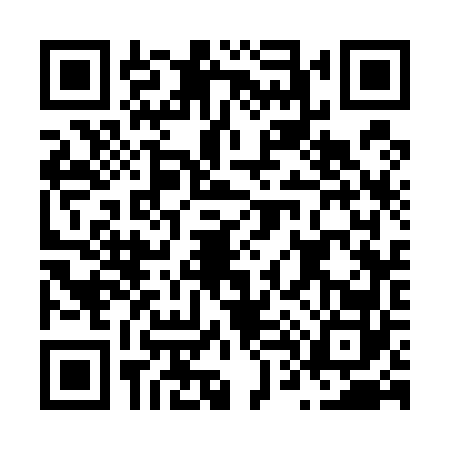 QR code for N435620