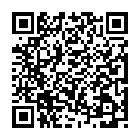 QR code for N441475