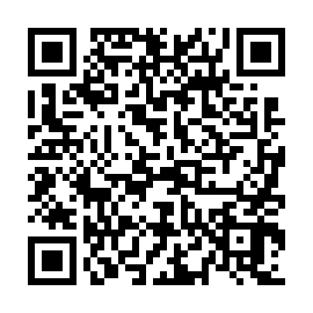 QR code for N446421