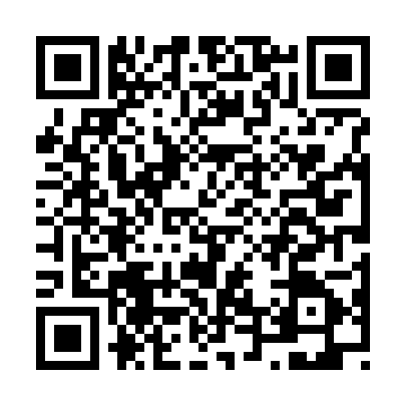 QR code for N447051