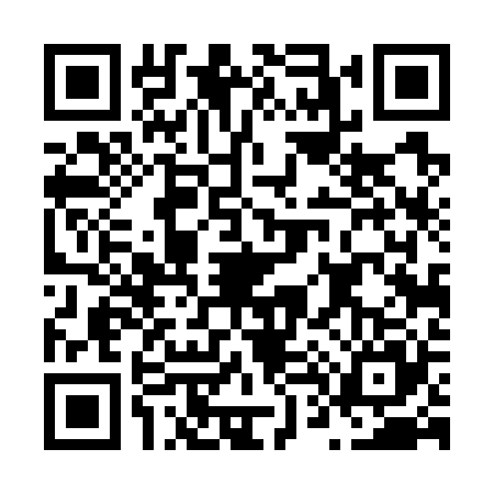 QR code for N447253