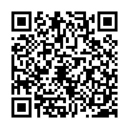 QR code for N450410