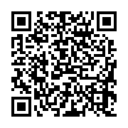 QR code for N452781