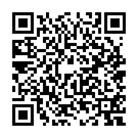 QR code for N453102