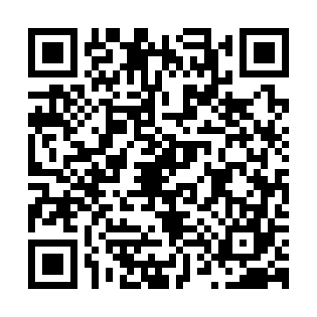 QR code for N453673