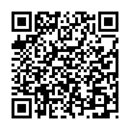 QR code for N453903