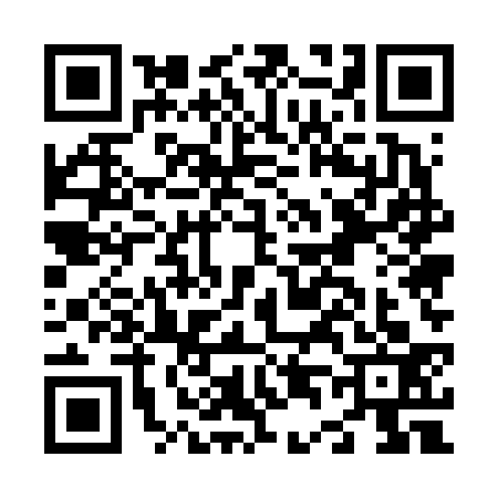 QR code for N456335