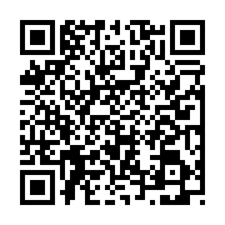 QR code for N460565