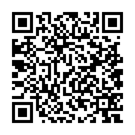QR code for N461768
