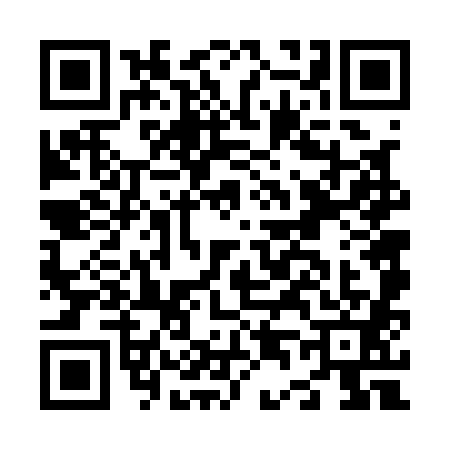 QR code for N461818