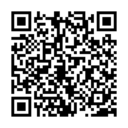 QR code for N462218