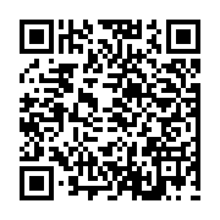 QR code for N462374
