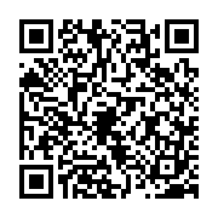 QR code for N463634
