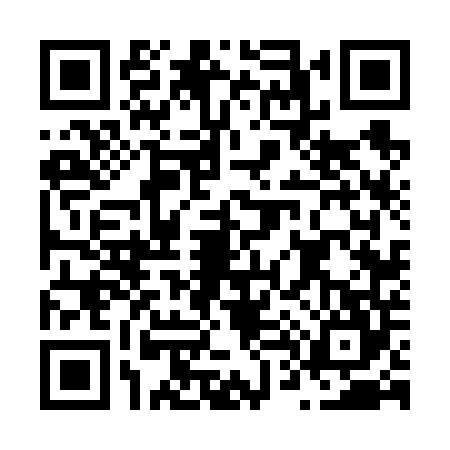 QR code for N466443
