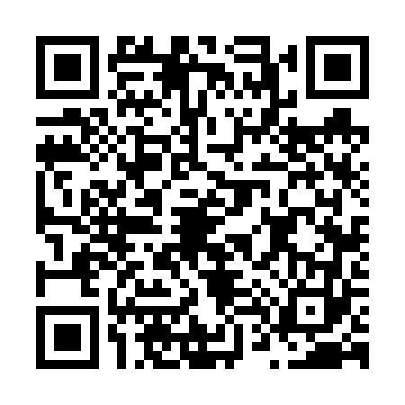 QR code for N466639
