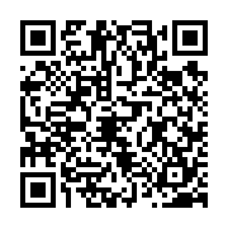 QR code for N466747