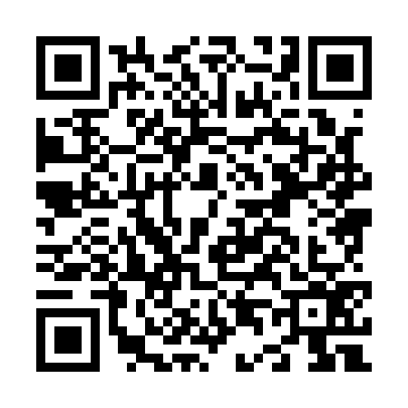 QR code for N481763