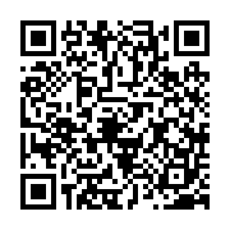 QR code for N482528