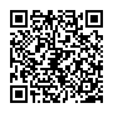 QR code for N483753