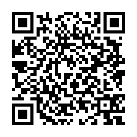 QR code for N484343
