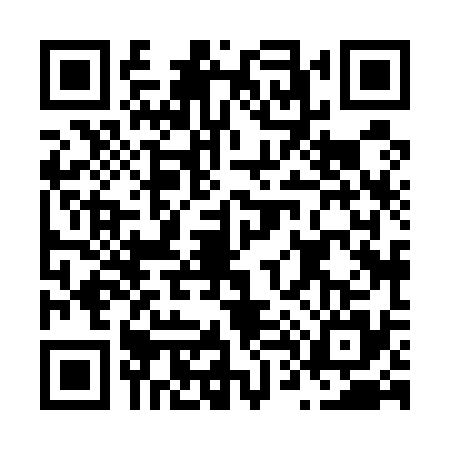 QR code for N485357