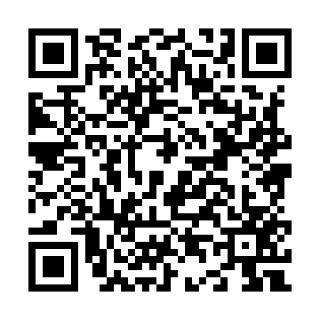 QR code for N489574