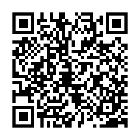 QR code for N491871